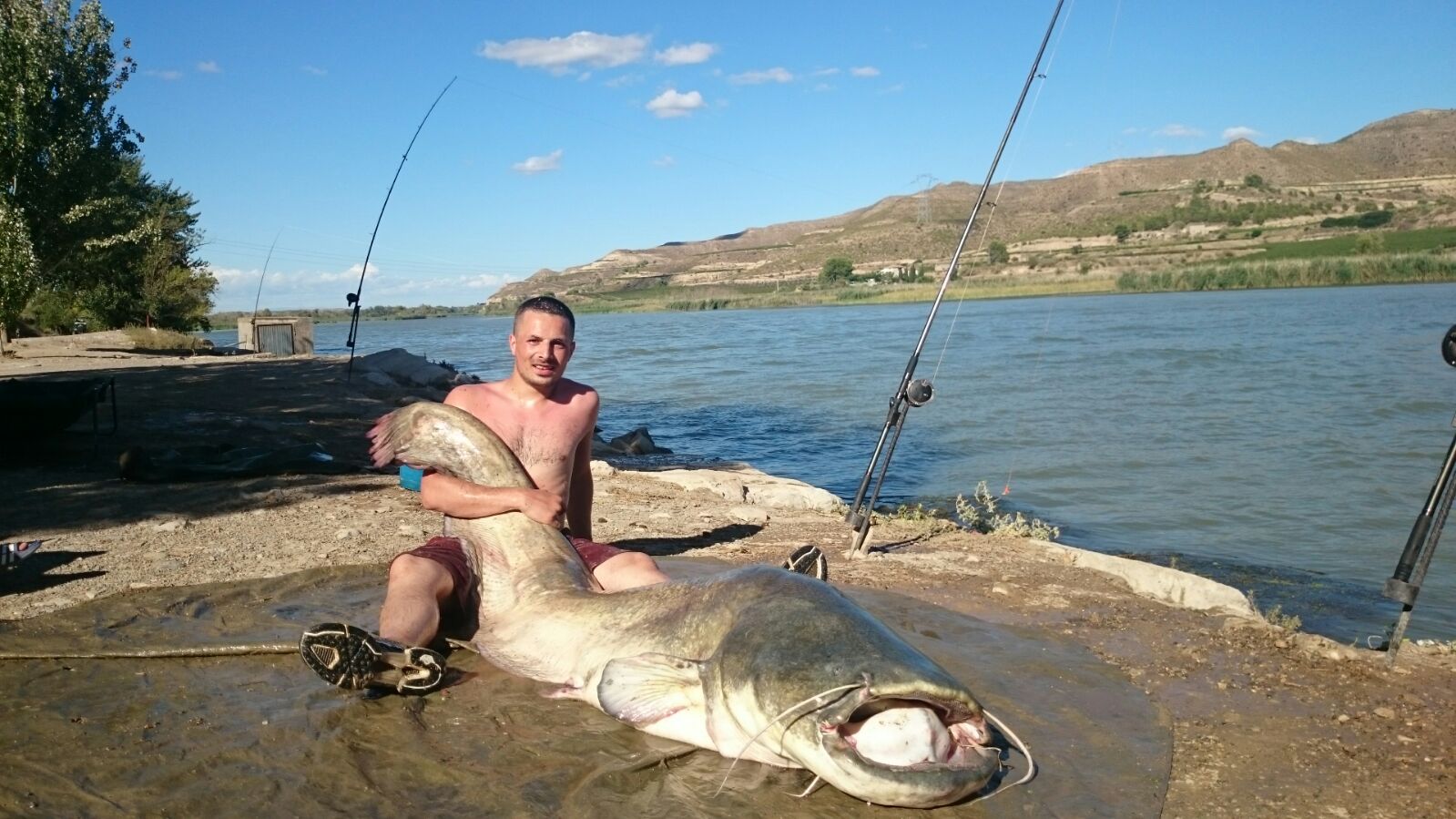 Monster Catfishing Holidays and Tours in Spain