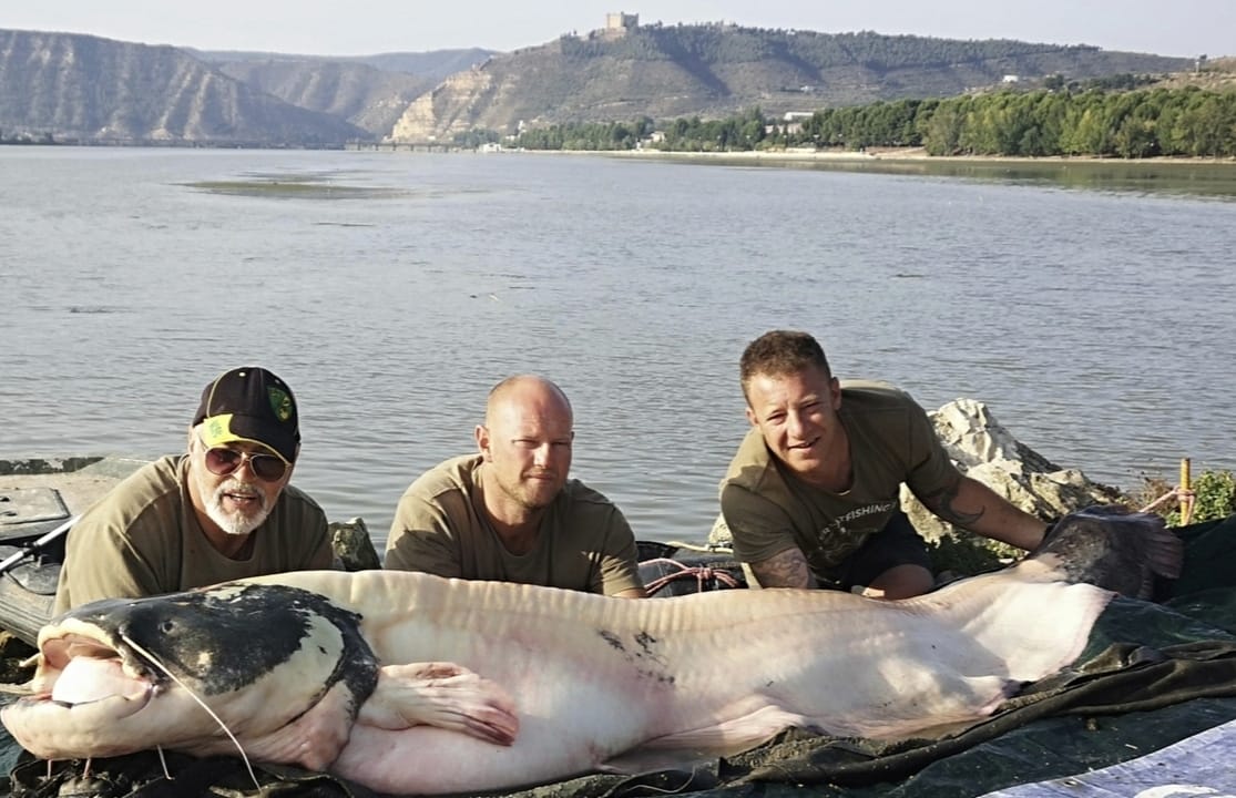 Monster Catfishing Holidays in Spain
